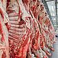 Governo Federal trabalha para ampliar exportações de carne para União Africana