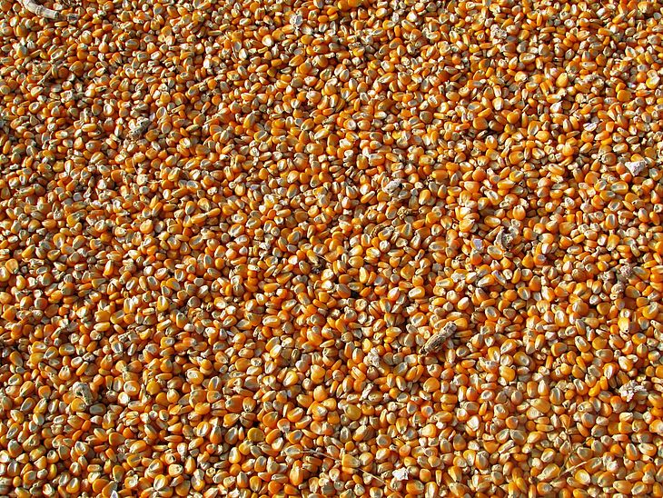 País é responsável por 25% do total mundial de vendas do cereal