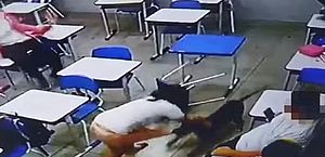 Cachorro ataca estudantes dentro de sala de aula em Goiás