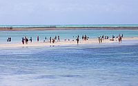 Vai à praia? Veja os trechos próprios e impróprios para banho no litoral de Alagoas