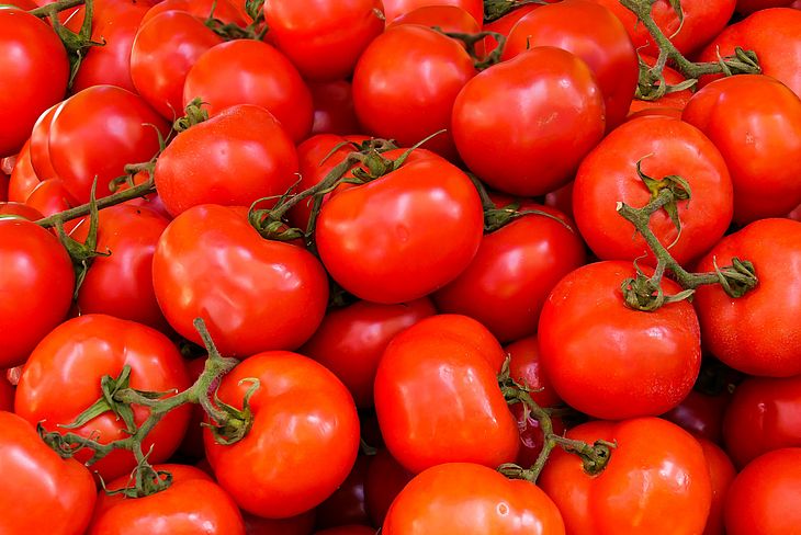 Tomates é um dos alimentos que não podem ser guardados na geladeira