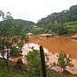 Chuvas provocam perdas de 119 mil hectares de lavouras em Minas Gerais