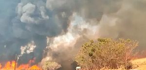 Brasil tem maior número de incêndios florestais dos últimos 14 anos