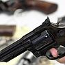CCJ aprova projeto que autoriza estados a legislarem sobre armas de fogo