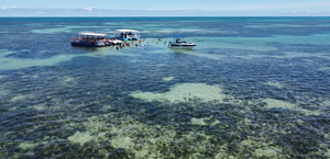 Operação Oceano mostra o turismo predatório e uma lição preservação na Costa dos Corais