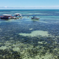 Operação Oceano mostra o turismo predatório e uma lição preservação na Costa dos Corais