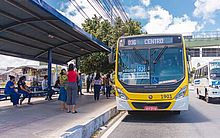 Linhas de ônibus que eram atendidas pela Veleiro sofrem alterações em Maceió
