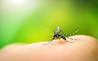 Três últimas mortes por dengue em Alagoas foram de vítimas de Maceió