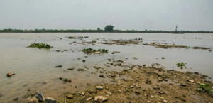 Rio Paraguai registra mínima histórica em ano mais seco no Pantanal