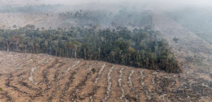 Força Nacional combaterá incêndios florestais em seis estados