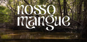 Pajuçara Social assina série de reportagens especiais sobre a importância dos manguezais