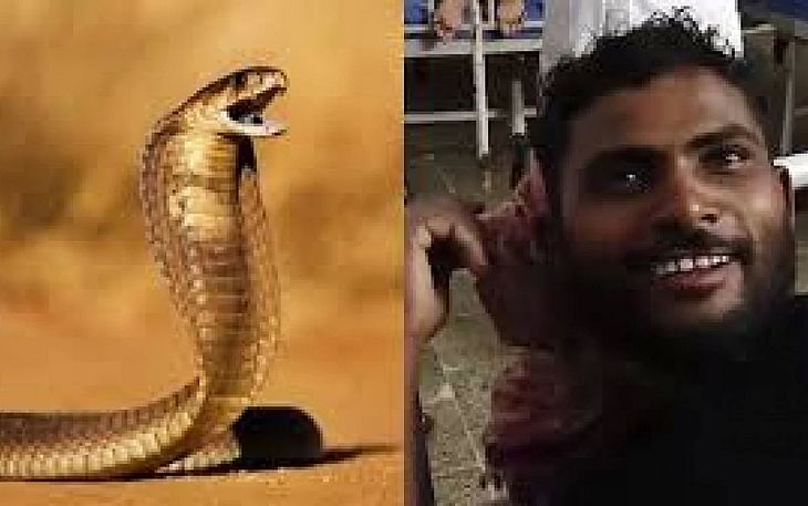 Um indiano matou, na última terça-feira, 9, uma cobra a mordidas após ter sido atacado