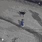 Bebê 'foge' de casa engatinhando com cachorro e é encontrado pela polícia em rua, na Argentina