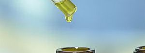 Óleo de maconha para vapes e óleo de canabidiol medicinal: saiba diferença entre substâncias