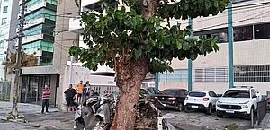 Carro bate contra árvore e deixa cinco mortos no Recife
