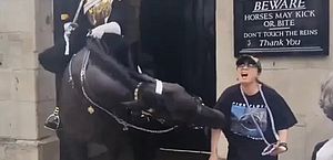 Mulher desmaia após ser mordida por cavalo da Guarda Real; veja vídeo 
