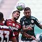 'Se o Palmeiras pudesse, não escolheria o Flamengo', diz Braz após sorteio