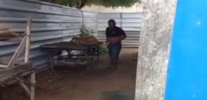 Homem é flagrado estuprando cadela em Pão de Açúcar, no interior de Alagoas