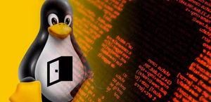 Ataques virtuais contra sistemas Linux aumentaram 35% em 2021