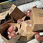 Mais de 100 kg de carnes impróprias para consumo são apreendidos em mercadinho na Jatiúca 