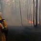 Saiba como agir se perceber um foco de incêndio perto de casa ou na estrada